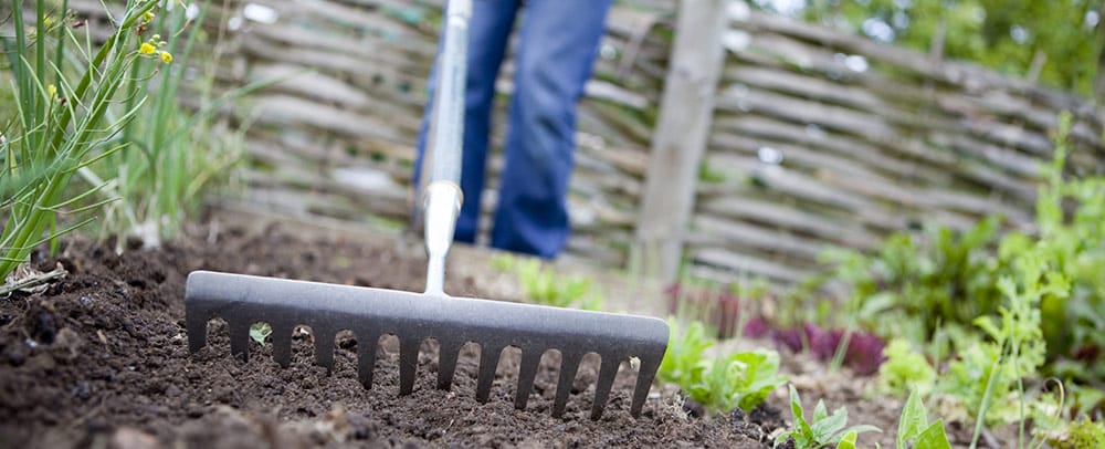 Bed Services | Bellingham Lawn Care | Whatcom Lawns