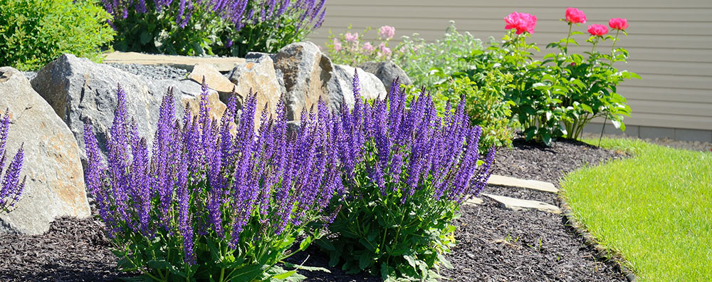 Landscaping Services | Bellingham Lawn Care | Whatcom Lawns