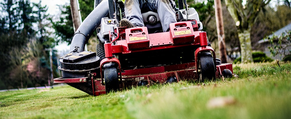 Lawn Services | Bellingham Lawn Care | Whatcom Lawns